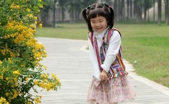 天牛3d红五图库天牛图库排列三